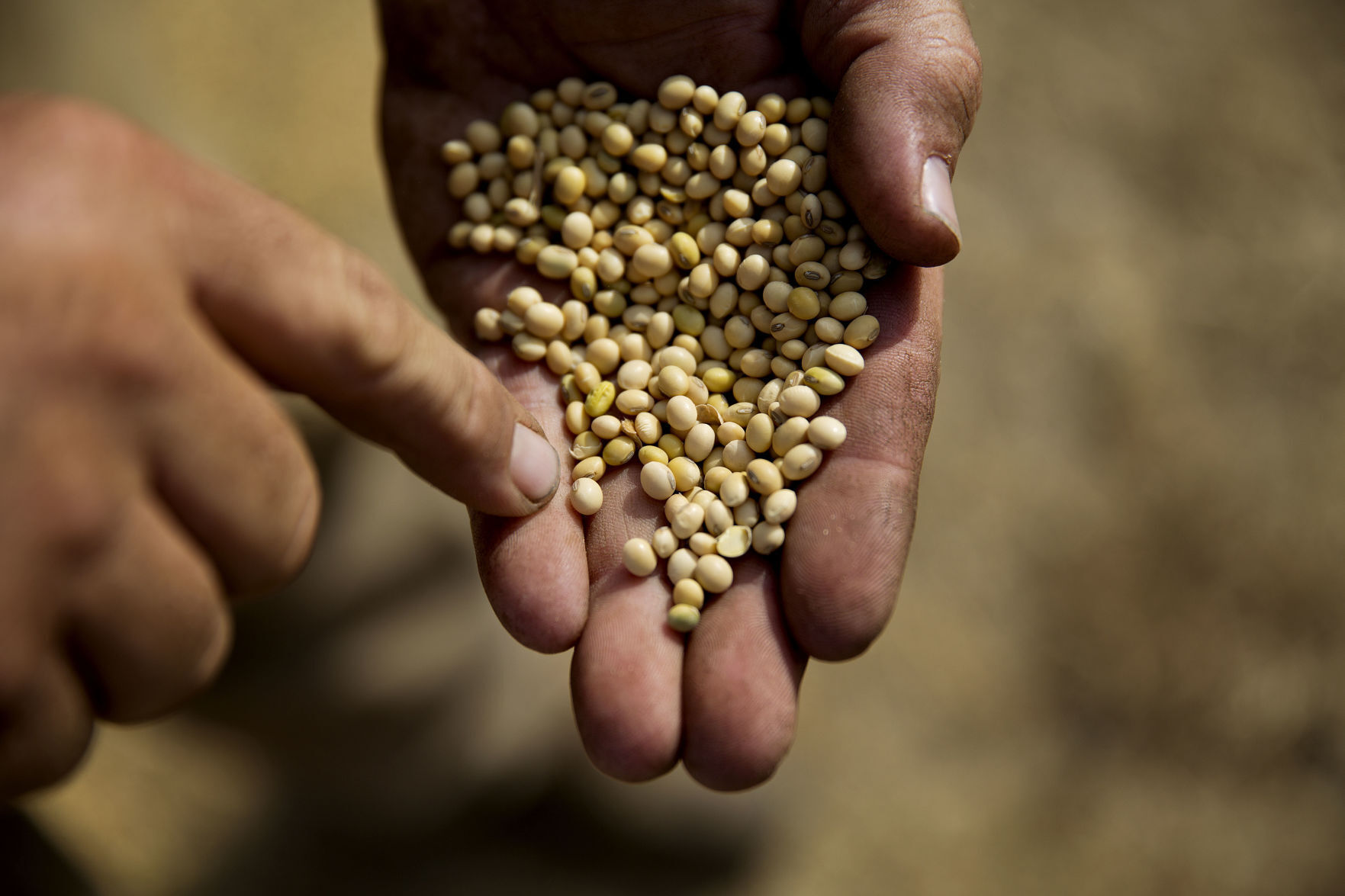 Soybeans: $33,184,310,000